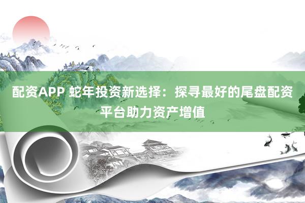 配资APP 蛇年投资新选择：探寻最好的尾盘配资平台助力资产增值