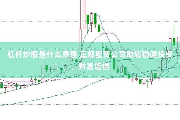 杠杆炒股是什么原理 正规配资公司助您稳健投资，财富增值