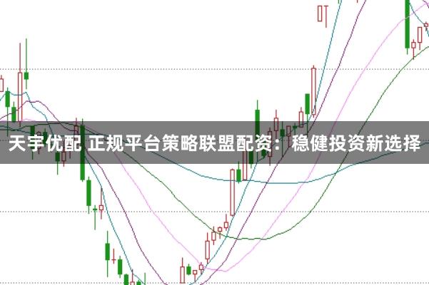 天宇优配 正规平台策略联盟配资：稳健投资新选择