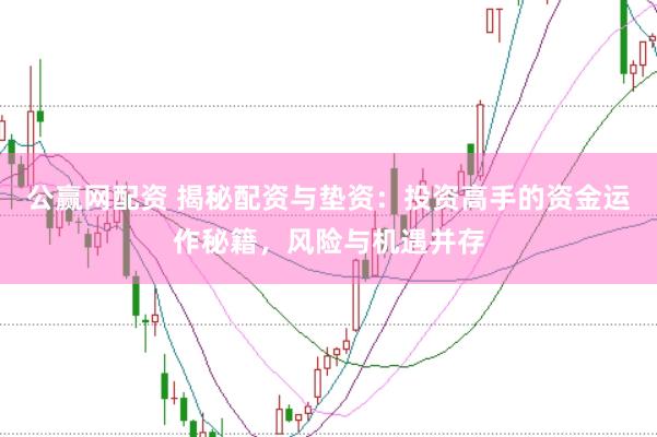 公赢网配资 揭秘配资与垫资：投资高手的资金运作秘籍，风险与机遇并存