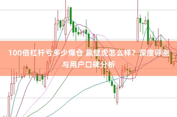 100倍杠杆亏多少爆仓 赢壁虎怎么样？深度评测与用户口碑分析