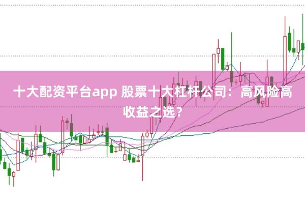 十大配资平台app 股票十大杠杆公司：高风险高收益之选？