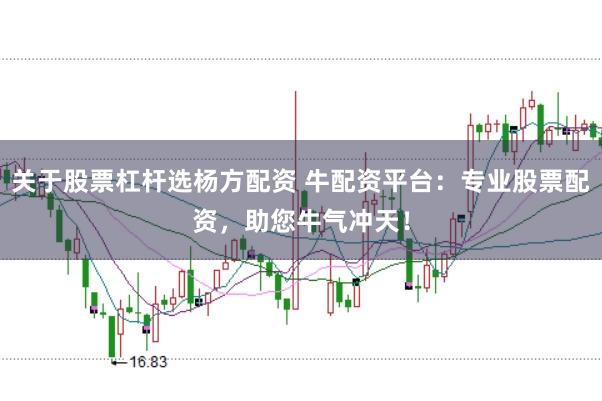 关于股票杠杆选杨方配资 牛配资平台：专业股票配资，助您牛气冲天！