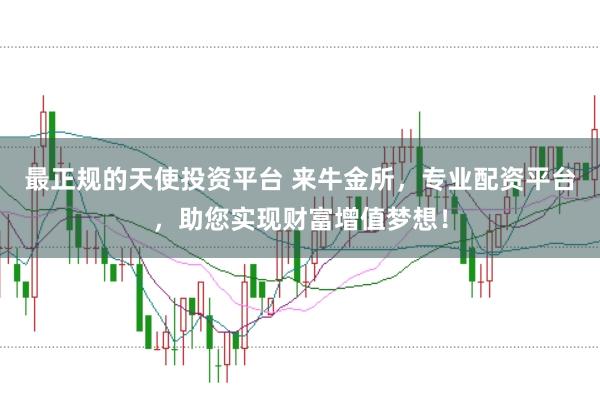 最正规的天使投资平台 来牛金所，专业配资平台，助您实现财富增值梦想！