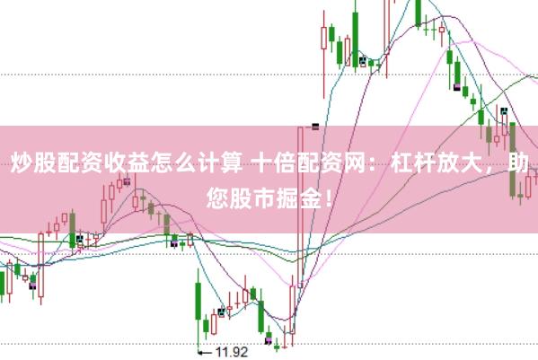 炒股配资收益怎么计算 十倍配资网：杠杆放大，助您股市掘金！