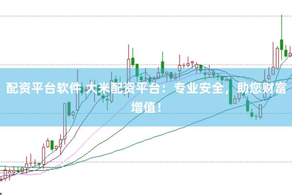 配资平台软件 大米配资平台：专业安全，助您财富增值！