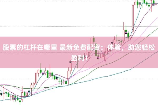 股票的杠杆在哪里 最新免费配资：体验，助您轻松盈利！