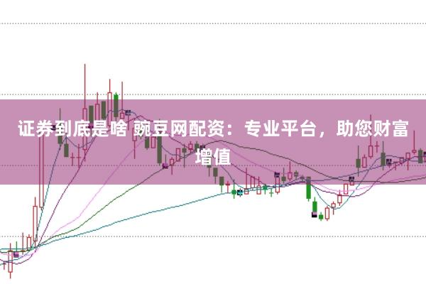 证券到底是啥 豌豆网配资：专业平台，助您财富增值