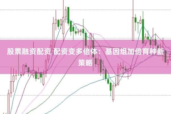 股票融资配资 配资变多倍体：基因组加倍育种新策略